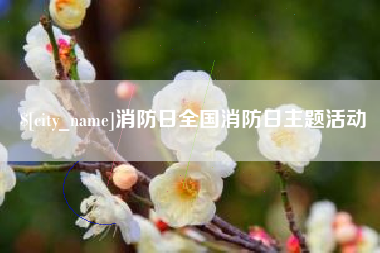 海口消防日全国消防日主题活动