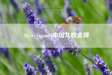 海口中国九枚金牌