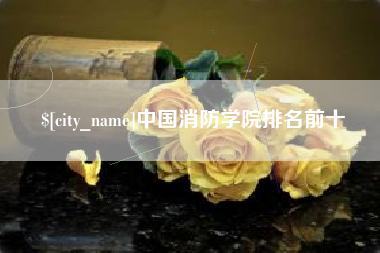 海口中国消防学院排名前十
