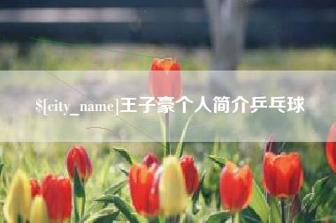 海口王子豪个人简介乒乓球