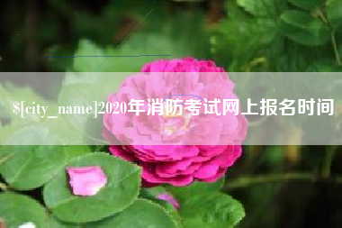 海口2020年消防考试网上报名时间
