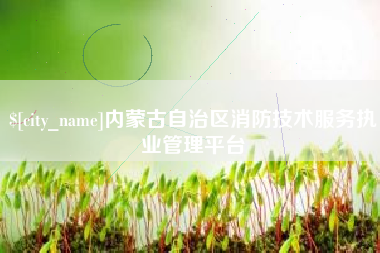 海口内蒙古自治区消防技术服务执业管理平台