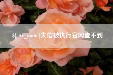海口失信被执行官网查不到