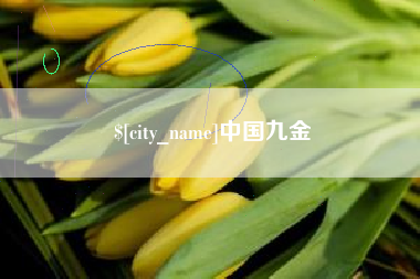海口中国九金