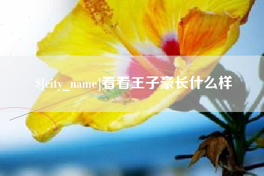 海口看看王子豪长什么样