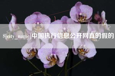 海口中国执行信息公开网真的假的