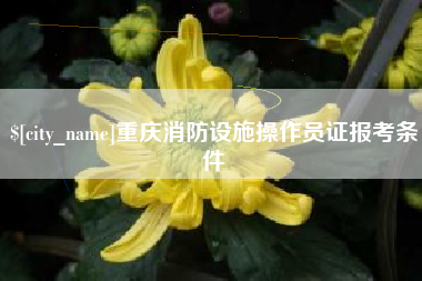 海口重庆消防设施操作员证报考条件