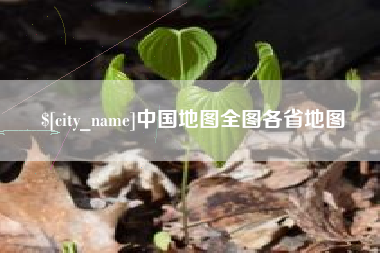 海口中国地图全图各省地图