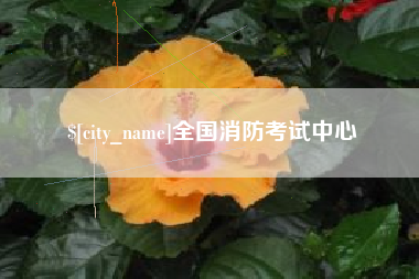 海口全国消防考试中心