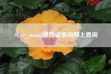 海口消防证查询网上查询