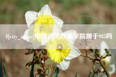 海口中国消防救援学院属于985吗