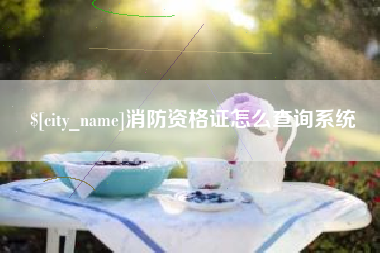 海口消防资格证怎么查询系统