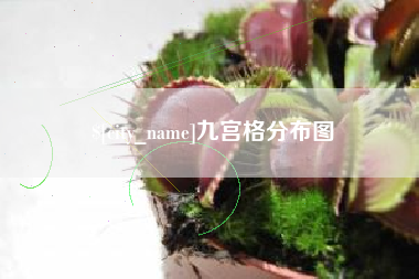 海口九宫格分布图