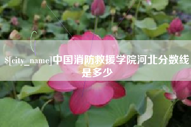 海口中国消防救援学院河北分数线是多少