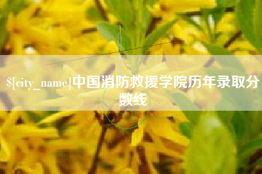 海口中国消防救援学院历年录取分数线