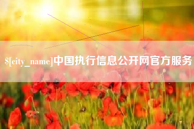 海口中国执行信息公开网官方服务