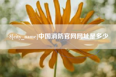 海口中国消防官网网址是多少