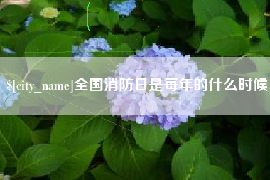 海口全国消防日是每年的什么时候
