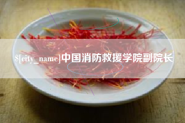 海口中国消防救援学院副院长