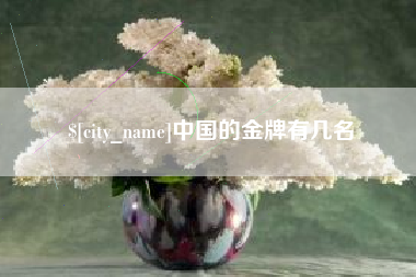 海口中国的金牌有几名