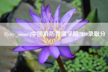 海口中国消防救援学院2020录取分