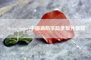 海口中国消防学院录取分数线