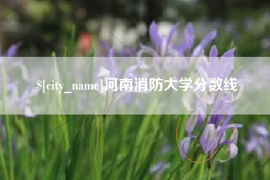 海口河南消防大学分数线