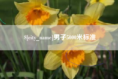 海口男子5000米标准