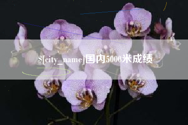 海口国内5000米成绩
