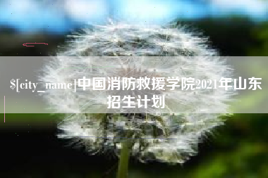 海口中国消防救援学院2021年山东招生计划
