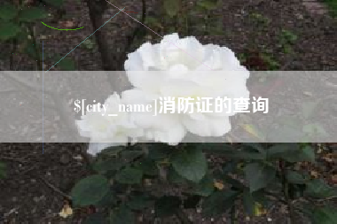 海口消防证的查询