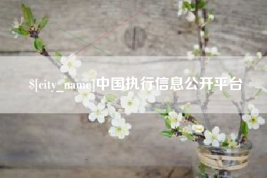 海口中国执行信息公开平台