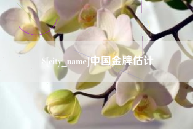 海口中国金牌估计