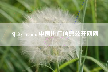 海口中国执行信息公开网网