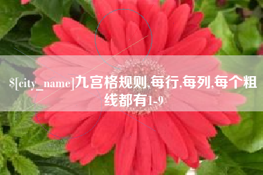 海口九宫格规则,每行,每列,每个粗线都有1-9