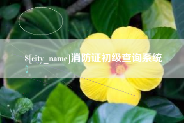 海口消防证初级查询系统