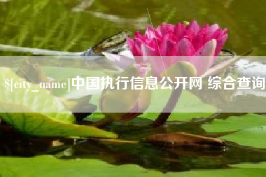 海口中国执行信息公开网 综合查询