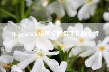 海口中国金牌得了几枚金牌