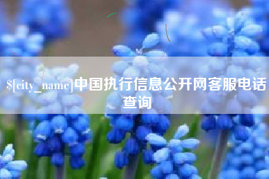 海口中国执行信息公开网客服电话查询