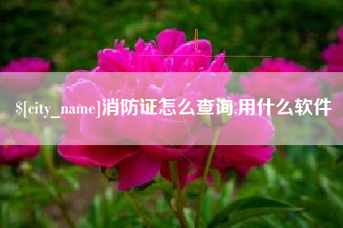 海口消防证怎么查询,用什么软件