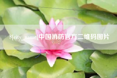 海口中国消防官方二维码图片