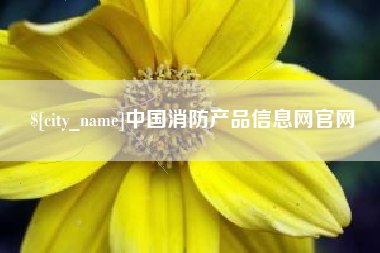 海口中国消防产品信息网官网