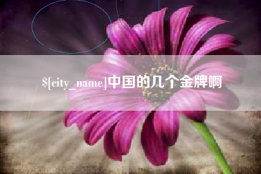 海口中国的几个金牌啊
