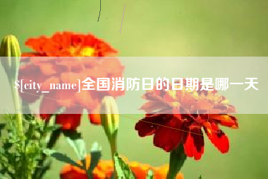 海口全国消防日的日期是哪一天