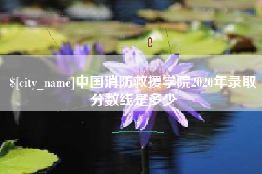 海口中国消防救援学院2020年录取分数线是多少