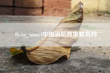 海口中国消防救援教育网