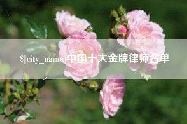 海口中国十大金牌律师名单