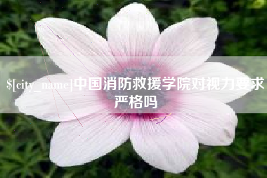 海口中国消防救援学院对视力要求严格吗