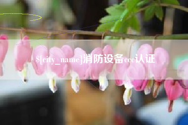 海口消防设备ccc认证