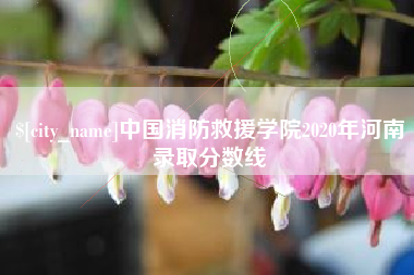 海口中国消防救援学院2020年河南录取分数线